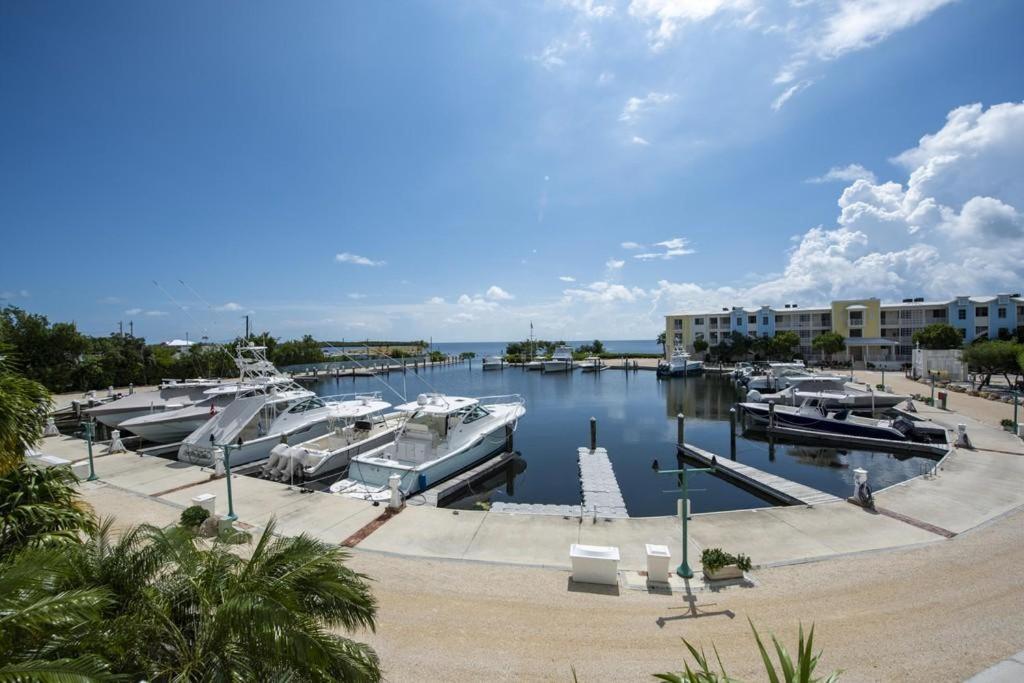 Licensed Mgr - 3/3.5 Modern Villa - Key Largo'S Premier Oceanfront Resort And Marina! מראה חיצוני תמונה